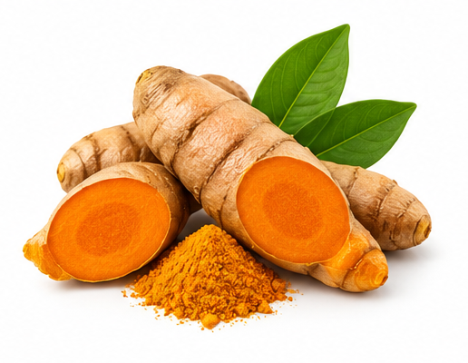 Turmeric Root
