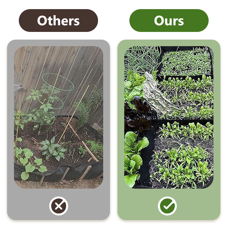 🌱 Divided Fabric Grow Bags — One Bag, Eight Plants, Zero Root Tangles-Q1